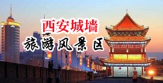 操黑丝浪逼中国陕西-西安城墙旅游风景区